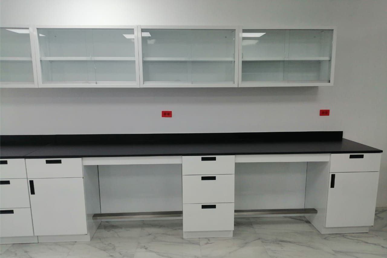 Muebles para laboratorio en en Michoacán